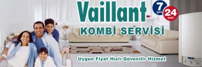 Gülsuyu Vaillant Kombi Servisi 0216 309 4025