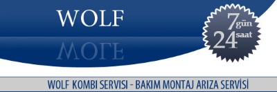 Gülsuyu Wolf Kombi Servisi 0216 309 4025