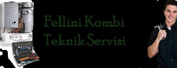 Küçükyalı Fellini Kombi Servisi 0216 309 4025