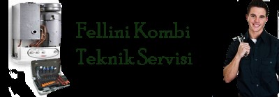 Pendik Fellini Kombi Servisi 0216 309 4025