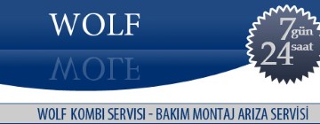 Esenyalı Wolf Kombi Servisi 0216 309 4025